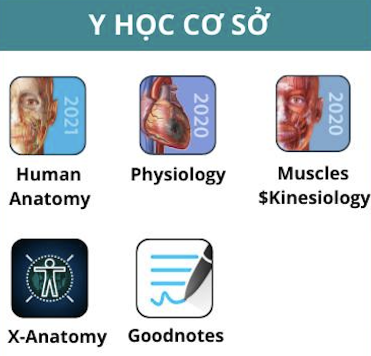 Combo “Y Học Cơ Sở”